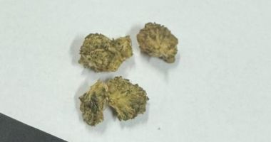 Stire din Eveniment : Droguri descoperite de jandarmii constănțeni, în weekend