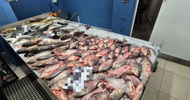Stire din Eveniment : Mai mulți comercianți de produse din pește controlați de polițiștii constănțeni