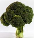Stire din Sănătate : Broccoli, util împotriva cancerului mamar