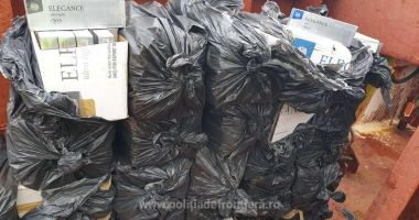 Ţigări de contrabandă, descoperite pe o navă în Portul Constanţa Sud Agigea - 2