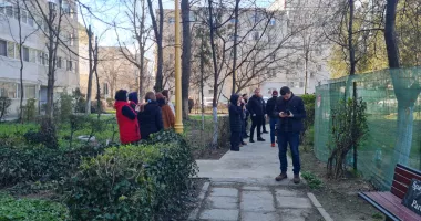 A început tăierea copacilor din fața blocurilor SM5 și SM6! Locatarii, revoltați - 5