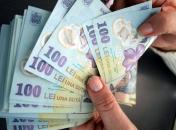 Stire din Economie : Sprijinul pentru culturile energetice nu va mai fi acordat în 2010