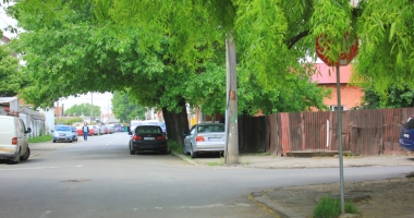Străzi cu prioritate... înfundate  și marcaje rutiere ascunse după copaci! - 4