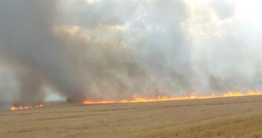 Cultură de 40 de hectare de grâu, cuprinsă de incendiu; mai multe autospeciale intervin