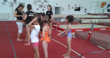 Dana Sofronie se implică în proiectul "Relansarea gimnasticii românești" - 5