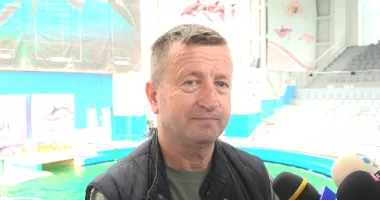 Delfinariul Constanța, în incertitudine înainte de vară. Se caută soluții pentru reluarea spectacolelor - 3