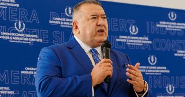 Stire din Economie : Mihai Daraban: „Dacă pleacă marile companii străine, noi stingem lumina!”