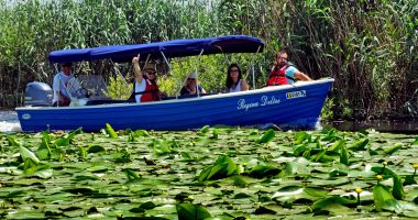 Stire din Social : Nou produs turistic: sejururi pentru detoxifiere în Delta Dunării