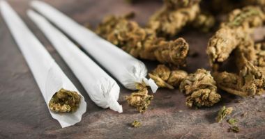 Stire din Actualitate : Legea privind traficul și consumul de droguri, trimisă la reexaminare
