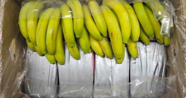Stire din Actualitate : Cocaină de 2 milioane de euro, într-o încărcătură de banane