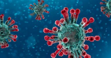 Stire din Social : Alerte de infecție cu noul coronavirus, infirmate! INCLUSIV LA CONSTANȚA!