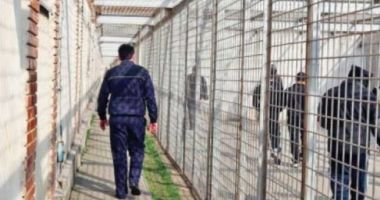 Stire din Eveniment : BĂGAȚI DUPĂ GRATII pentru furt și conducere fără permis