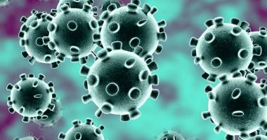 Stire din Actualitate : Suspiciunile de coronavirus, infirmate în cazul românului internat în Italia