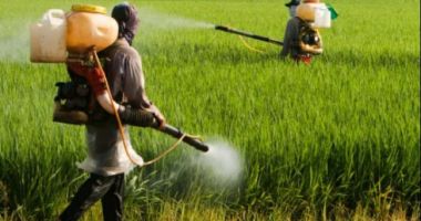 Stire din Eveniment : Comisia Europeană avertizează România: INTERZIS la autorizații pentru pesticide!