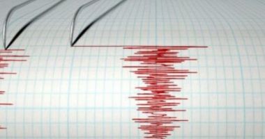 CUTREMUR de magnitudine 4,5 în zona seismică Vrancea