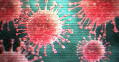 Stire din Social : CORONAVIRUS / Iată ce propune CONAF!