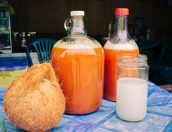 Stire din Actualitate : FILIPINE: Au murit după ce au băut vin din nucă de cocos