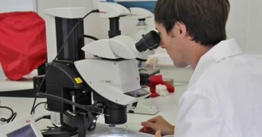 Stire din Tehnologie : ANUNȚ EPOCAL: "Cel mai puternic antibiotic descoperit vreodată!"