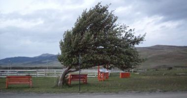 Cod galben de viscol și vânt! Dobrogea nu este afectată