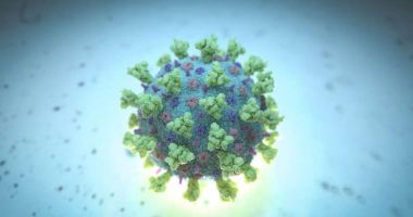 Stire din Actualitate : Două tipuri de coronavirus care pot genera infecții, descoperite de cercetători