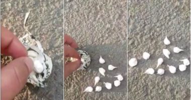 VIDEO / PERCHEZIȚII în Constanța. O femeie și un bărbat, prinși când vindeau COCAINĂ!
