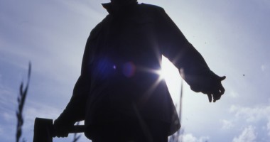 Stire din Cultură-Educație : Azi e filmul de miercuri