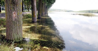 Stire din Social : Debitul fluviului Dunărea este în scădere