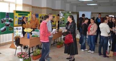 Stire din Cultură-Educație : Decide-ți viitorul la Târgul Educațional Maritimo