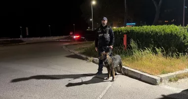 Acțiune fulger în Constanța! Șoferii, verificați de polițiști și inspectorii RAR - 4