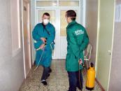 Gândacii fac legea în Spitalul Județean