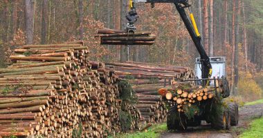 Stire din Social : WWF România: Noul Cod Silvic nu instituie o reformă clară a sistemului de combatere a exploatărilor ilegale