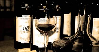 Degustare de vinuri fine, la Bottega D’Italy - 3