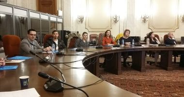 Stire din Social : Delegație a DGASPC Constanța la Palatul Parlamentului