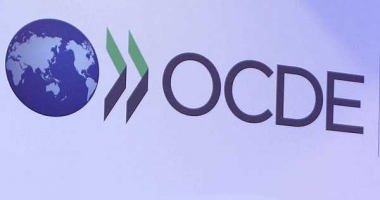 Delegație românească la reuniunea OCDE, din Paris