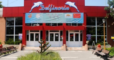 Cine vor fi noii directori de la Delfinariu și… 