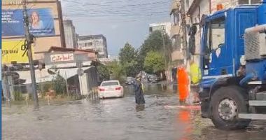 Și la Delfinariu ploaia a făcut prăpăd. Echipele de intervenție nu mai fac față
