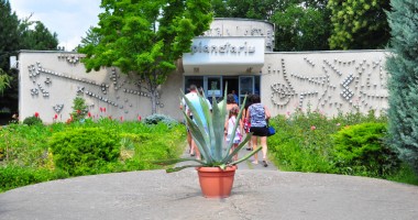 "Juma’ de milion vechi ca să vizitezi Delfinariul este enorm!" - 4