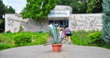 Stire din Cultură-Educație : Fereastra deschisă permanent spre cer