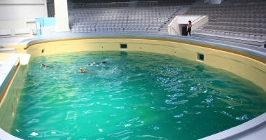 Delfinariul s-a modernizat! Ce surprize li se pregătesc copiilor - 4