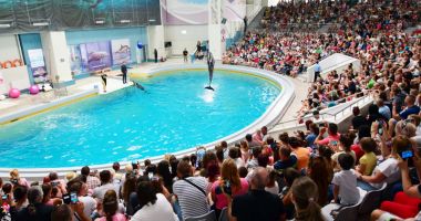 Stire din Cultură-Educație : Program de vară la Complexul Muzeal de Științe ale Naturii