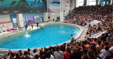 Stire din Social : Delfinariul Constanța va fi extins și vom avea un nou acvariu