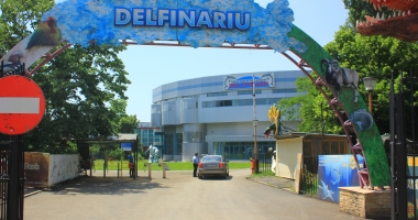 Delfinariul s-a modernizat! Ce surprize li se pregătesc copiilor - 2