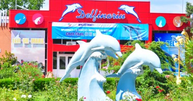 "Juma’ de milion vechi ca să vizitezi Delfinariul este enorm!" - 7