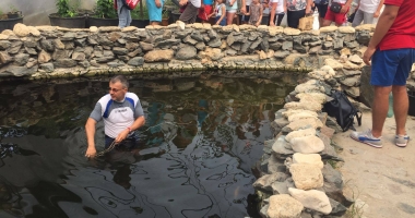 GALERIE FOTO-VIDEO / Fontana di Trevi de la Delfinariul Constanța! Directorul complexului a ieșit "la pescuit " de bani din bazinul peștilor exotici - 4