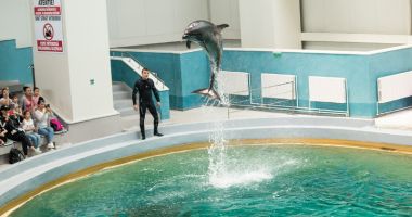 Mustăcioșii Sam, Nuk și Cali vă invită la spectacol - 3