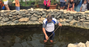 GALERIE FOTO-VIDEO / Fontana di Trevi de la Delfinariul Constanța! Directorul complexului a ieșit "la pescuit " de bani din bazinul peștilor exotici - 5