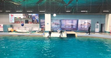 Investiții de top! Acvariu, delfinariu și grădină zoologică cu lemurieni, la Constanța - 3