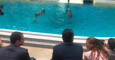 Investiții de top! Acvariu, delfinariu și grădină zoologică cu lemurieni, la Constanța - 4
