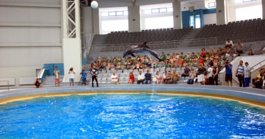 "Nu vrem să mai facem circ la Delfinariu!" - 3