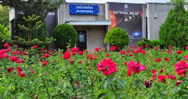 "Juma’ de milion vechi ca să vizitezi Delfinariul este enorm!" - 3